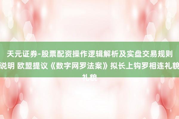 天元证券-股票配资操作逻辑解析及实盘交易规则说明 欧盟提议《数字网罗法案》拟长上钩罗相连礼貌