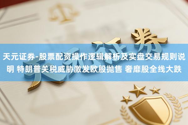天元证券-股票配资操作逻辑解析及实盘交易规则说明 特朗普关税威胁激发欧股抛售 奢靡股全线大跌