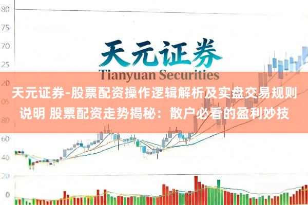 天元证券-股票配资操作逻辑解析及实盘交易规则说明 股票配资走势揭秘：散户必看的盈利妙技