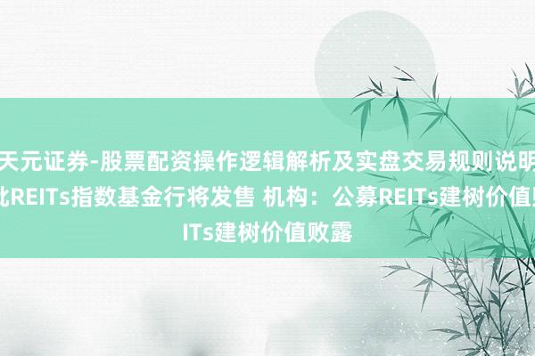 天元证券-股票配资操作逻辑解析及实盘交易规则说明 首批REITs指数基金行将发售 机构：公募REITs建树价值败露